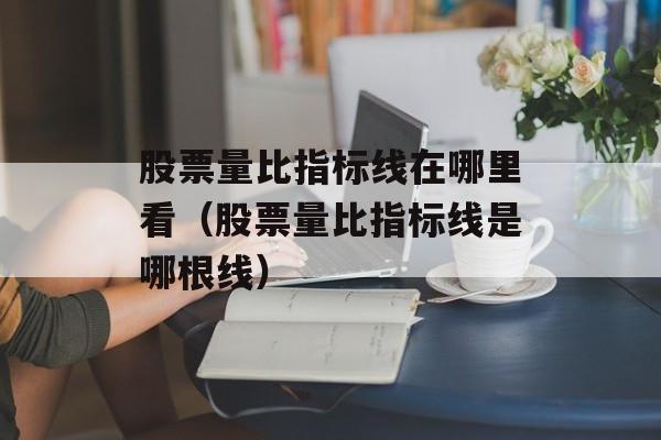 股票量比指标线在哪里看（股票量比指标线是哪根线）