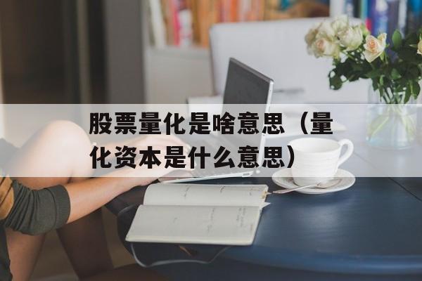 股票量化是啥意思（量化资本是什么意思）