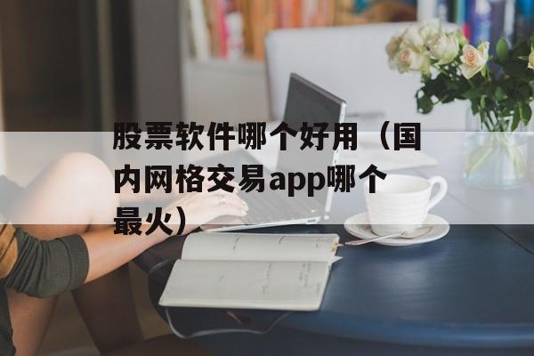 股票软件哪个好用（国内网格交易app哪个最火）