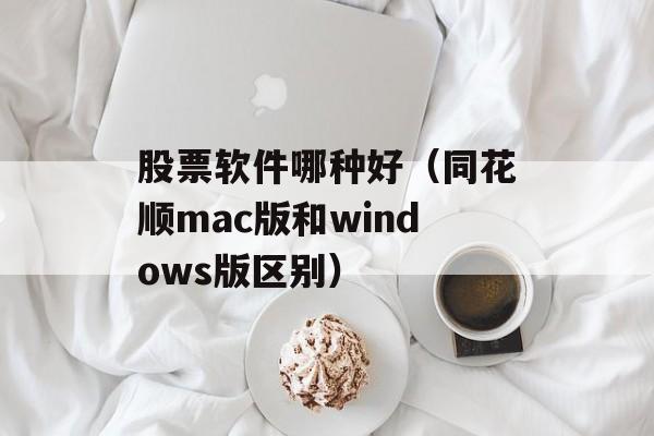 股票软件哪种好（同花顺mac版和windows版区别）