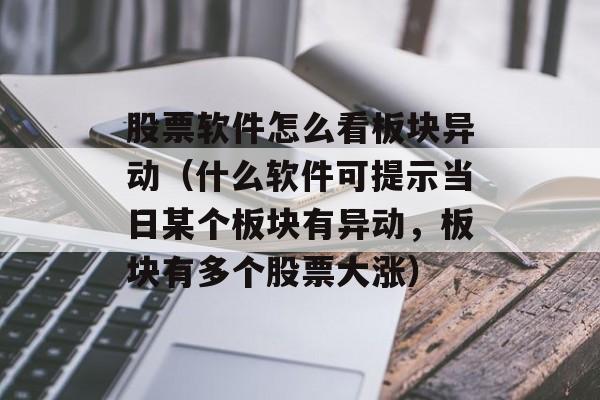 股票软件怎么看板块异动（什么软件可提示当日某个板块有异动，板块有多个股票大涨）