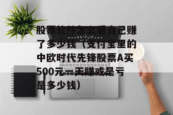 股票软件怎么看自己赚了多少钱（支付宝里的中欧时代先锋股票A买500元一天赚或是亏是多少钱）