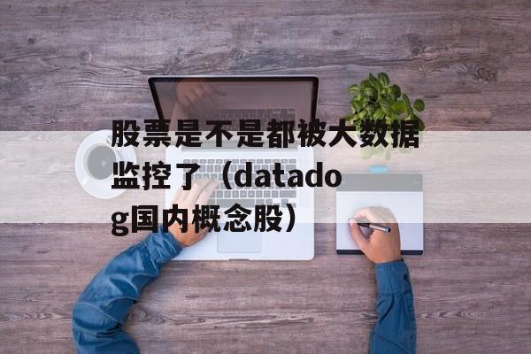 股票是不是都被大数据监控了（datadog国内概念股）