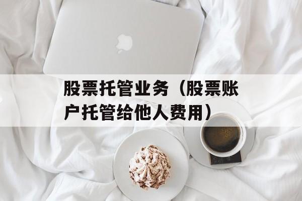 股票托管业务（股票账户托管给他人费用）