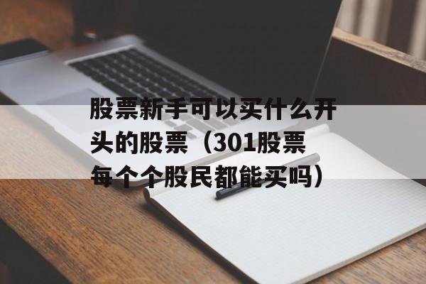 股票新手可以买什么开头的股票（301股票每个个股民都能买吗）