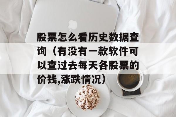 股票怎么看历史数据查询（有没有一款软件可以查过去每天各股票的价钱,涨跌情况）