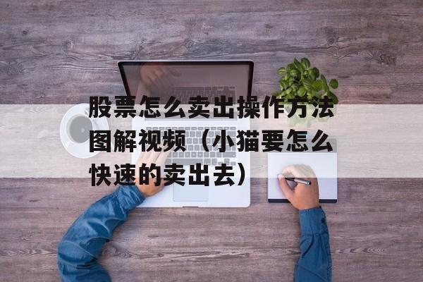 股票怎么卖出操作方法图解视频（小猫要怎么快速的卖出去）