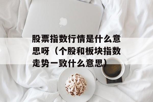 股票指数行情是什么意思呀（个股和板块指数走势一致什么意思）