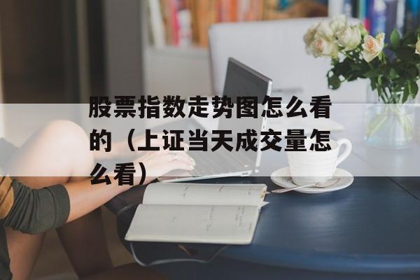 股票指数走势图怎么看的（上证当天成交量怎么看）