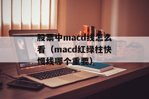 股票中macd线怎么看（macd红绿柱快慢线哪个重要）