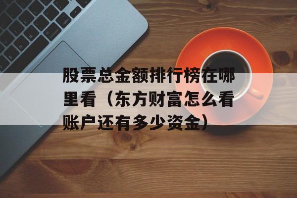 股票总金额排行榜在哪里看（东方财富怎么看账户还有多少资金）