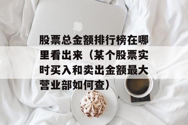 股票总金额排行榜在哪里看出来（某个股票实时买入和卖出金额最大营业部如何查）