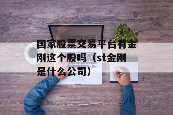 国家股票交易平台有金刚这个股吗（st金刚是什么公司）