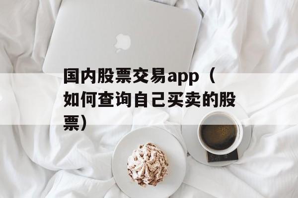 国内股票交易app（如何查询自己买卖的股票）