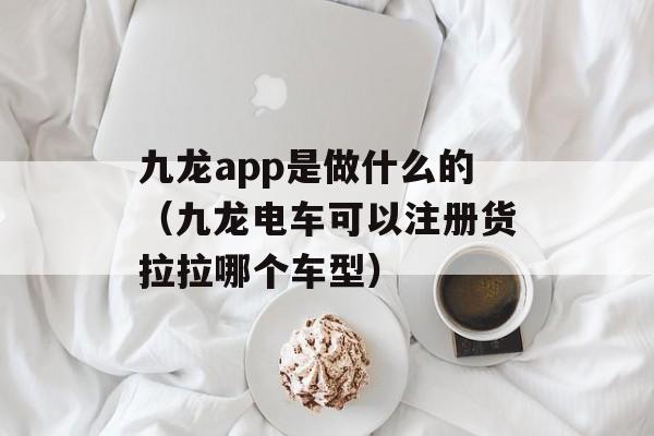 九龙app是做什么的（九龙电车可以注册货拉拉哪个车型）