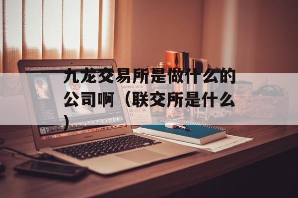 九龙交易所是做什么的公司啊（联交所是什么）