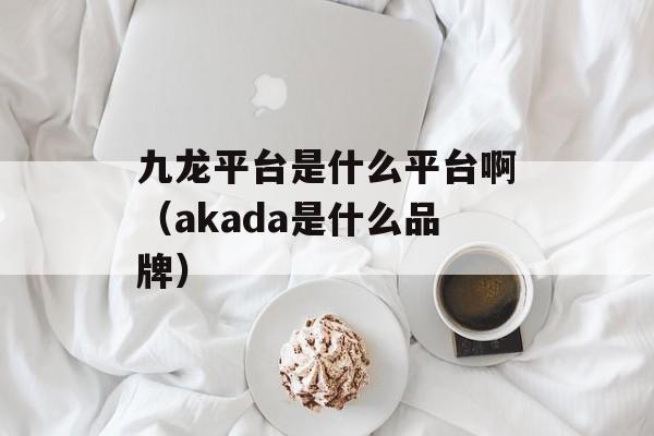 九龙平台是什么平台啊（akada是什么品牌）