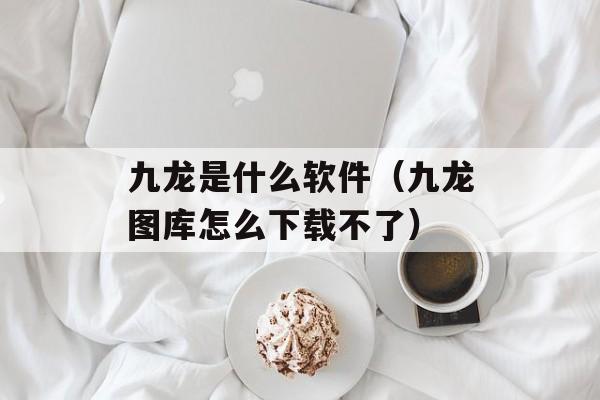 九龙是什么软件（九龙图库怎么下载不了）