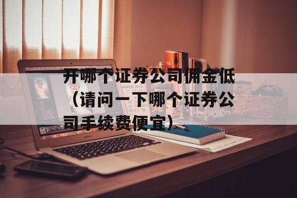 开哪个证券公司佣金低（请问一下哪个证券公司手续费便宜）