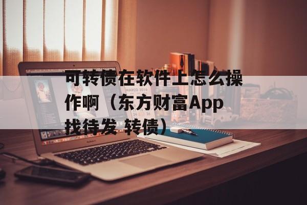 可转债在软件上怎么操作啊（东方财富App找待发 转债）