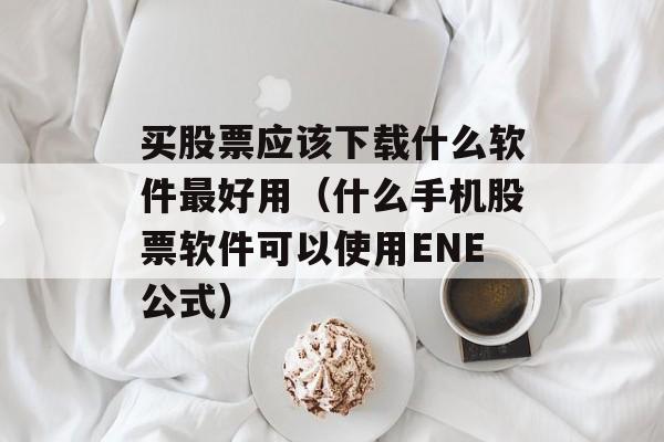 买股票应该下载什么软件最好用（什么手机股票软件可以使用ENE公式）