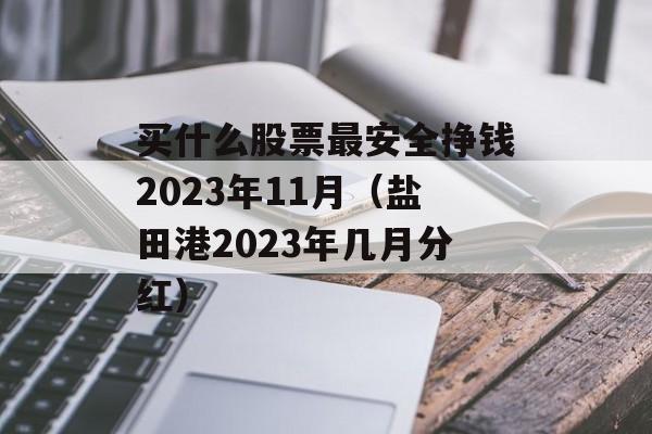 买什么股票最安全挣钱2023年11月（盐田港2023年几月分红）