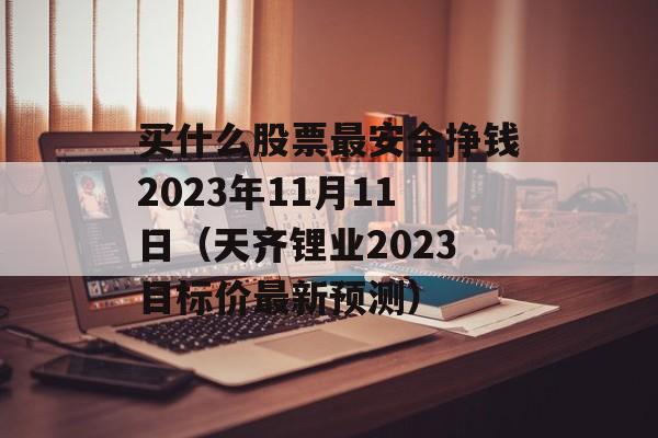 买什么股票最安全挣钱2023年11月11日（天齐锂业2023目标价最新预测）