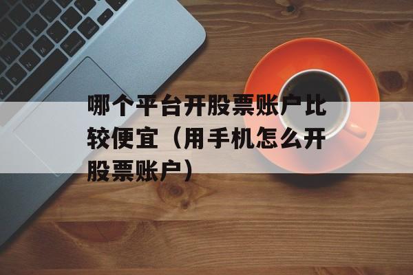 哪个平台开股票账户比较便宜（用手机怎么开股票账户）