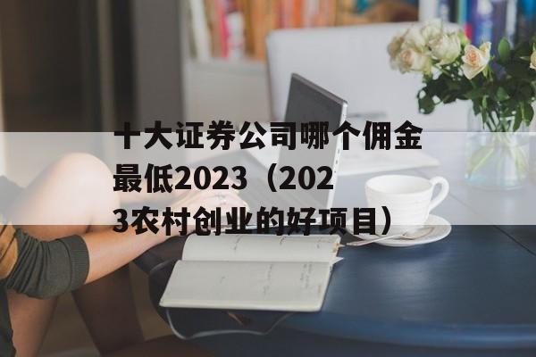 十大证券公司哪个佣金最低2023（2023农村创业的好项目）