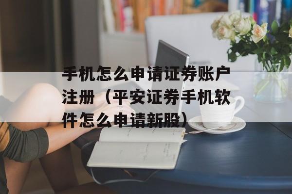 手机怎么申请证券账户注册（平安证券手机软件怎么申请新股）