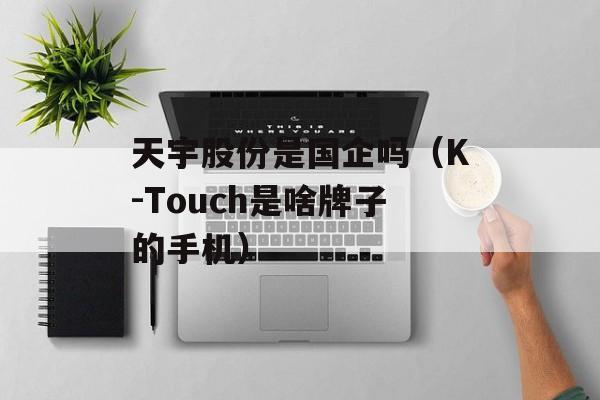 天宇股份是国企吗（K-Touch是啥牌子的手机）