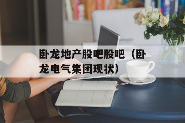 卧龙地产股吧股吧（卧龙电气集团现状）