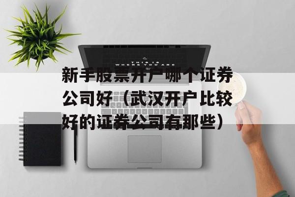 新手股票开户哪个证券公司好（武汉开户比较好的证券公司有那些）