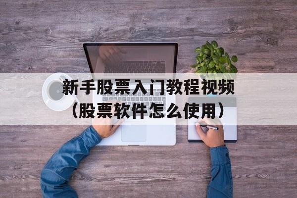 新手股票入门教程视频（股票软件怎么使用）