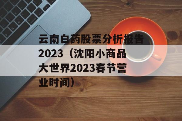 云南白药股票分析报告2023（沈阳小商品大世界2023春节营业时间）