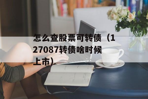 怎么查股票可转债（127087转债啥时候上市）