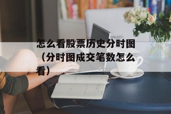 怎么看股票历史分时图（分时图成交笔数怎么看）