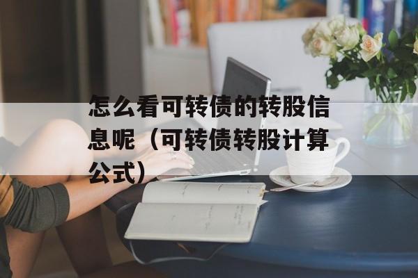 怎么看可转债的转股信息呢（可转债转股计算公式）