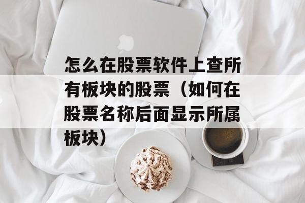 怎么在股票软件上查所有板块的股票（如何在股票名称后面显示所属板块）