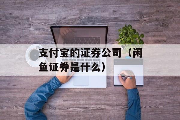 支付宝的证券公司（闲鱼证券是什么）