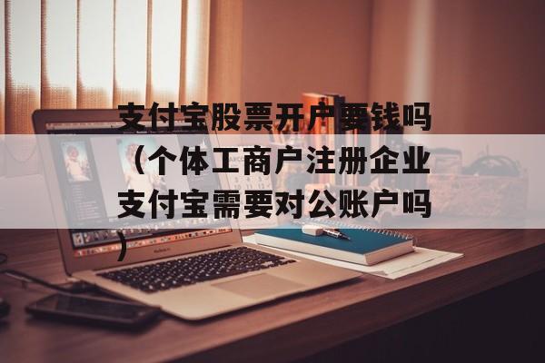 支付宝股票开户要钱吗（个体工商户注册企业支付宝需要对公账户吗）