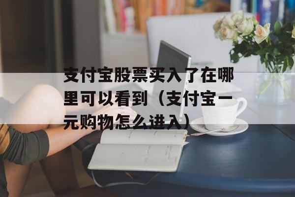 支付宝股票买入了在哪里可以看到（支付宝一元购物怎么进入）