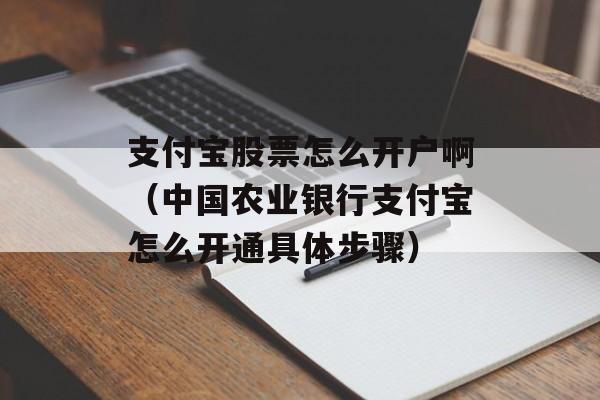 支付宝股票怎么开户啊（中国农业银行支付宝怎么开通具体步骤）