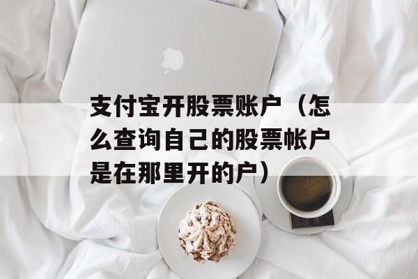 支付宝开股票账户（怎么查询自己的股票帐户是在那里开的户）