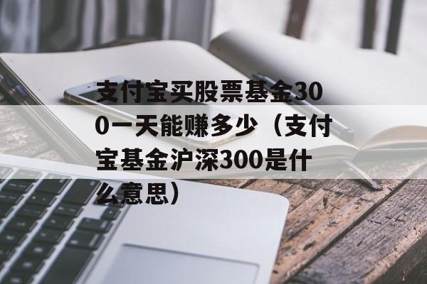 支付宝买股票基金300一天能赚多少（支付宝基金沪深300是什么意思）