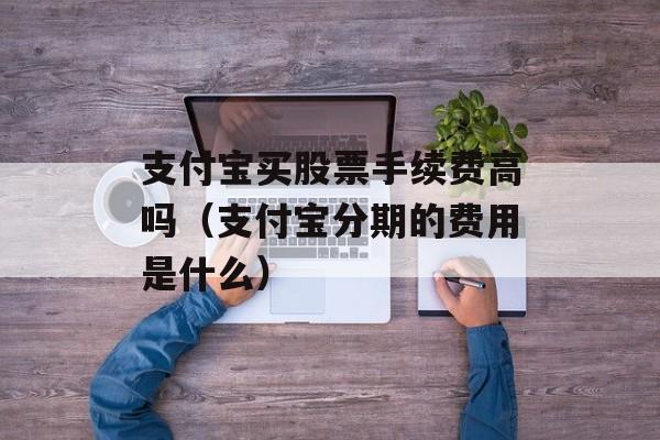 支付宝买股票手续费高吗（支付宝分期的费用是什么）