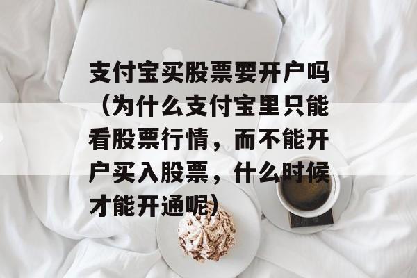 支付宝买股票要开户吗（为什么支付宝里只能看股票行情，而不能开户买入股票，什么时候才能开通呢）