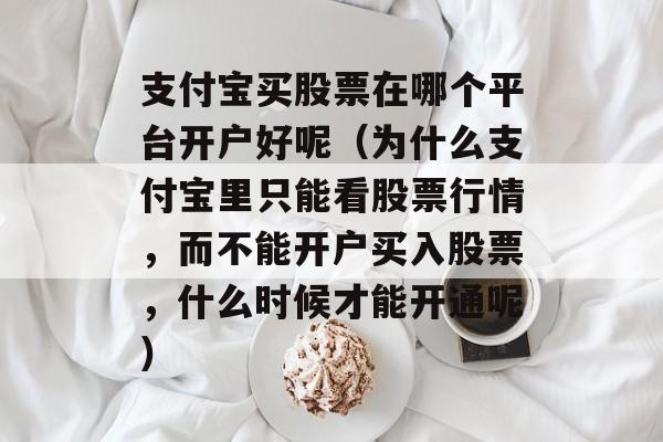 支付宝买股票在哪个平台开户好呢（为什么支付宝里只能看股票行情，而不能开户买入股票，什么时候才能开通呢）