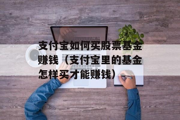 支付宝如何买股票基金赚钱（支付宝里的基金怎样买才能赚钱）