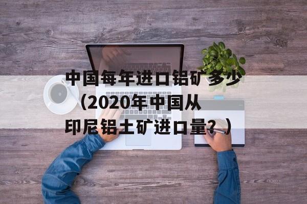 中国每年进口铝矿多少 （2020年中国从印尼铝土矿进口量？）